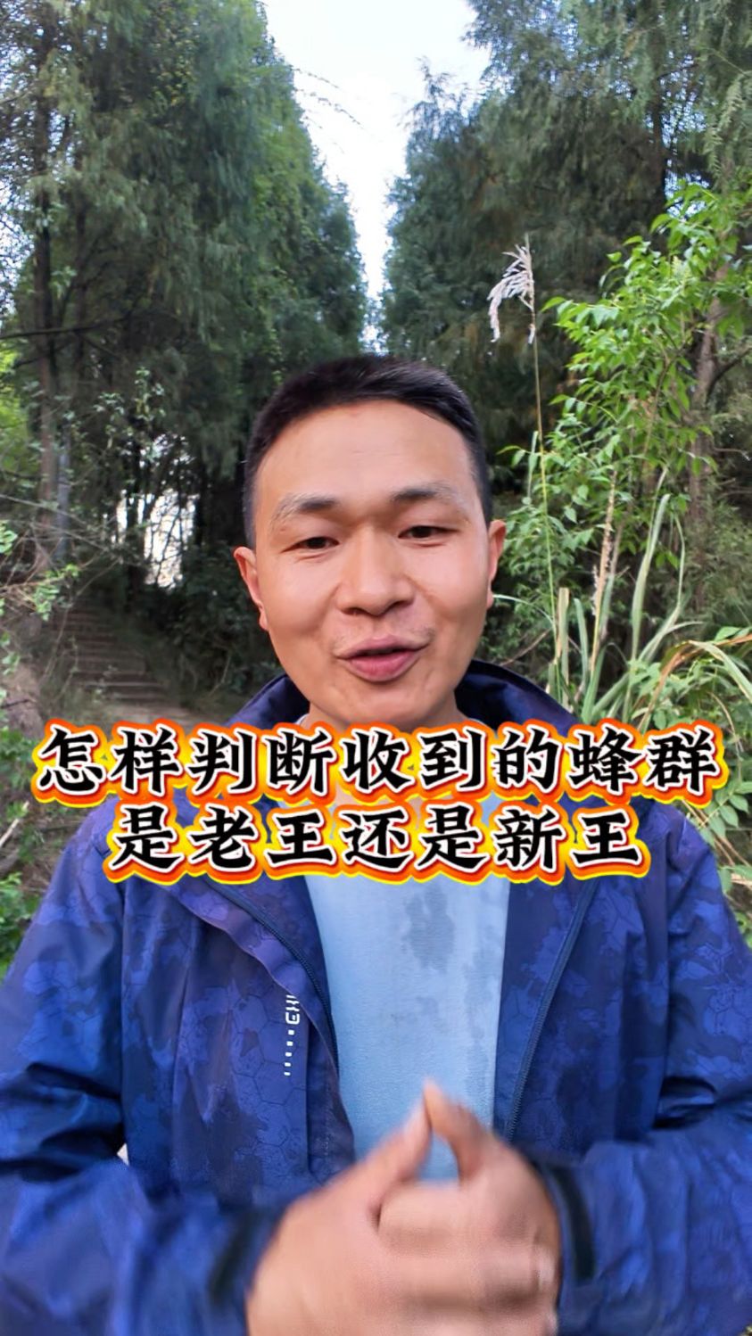 安博体育app-从小王变老王，已经10岁的《王者荣耀》为何还有那么大的号召力