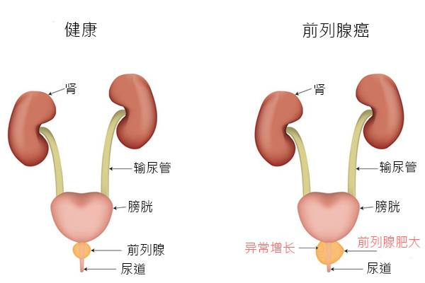 安博体育-瓦朗西亚客场逆转，意图冲击前列